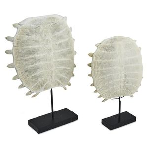 Two tropical freshwater turtle shells on stand, largest height…