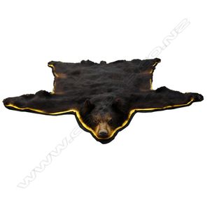A Canadian bear skin rug, with head and claws, backed onto a…