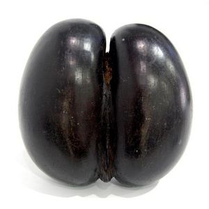 A unique Coco de Mer, in the natural shape with a carved…