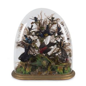 A Victorian taxidermy bird display in original glass dome…