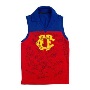 Throwback 1980 Fitzroy Lions Vintage Home Jumper Custom, 42% OFF