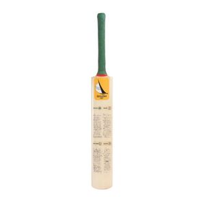 1987 Benson & Hedges Challenge (One-Day tournament in Perth as…