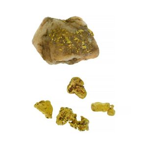 Four gold nuggets & one gold in quartz. From Paynes Find, WA.…