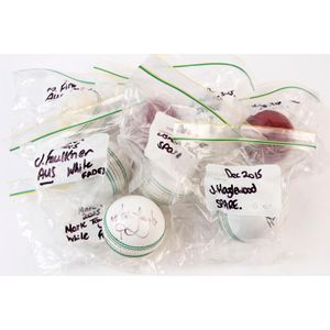 Australia - player signed cricket balls: comprising white balls…