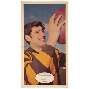 1971 Scanlens 'Footballers' poster - Hawthorn: Peter Hudson,…