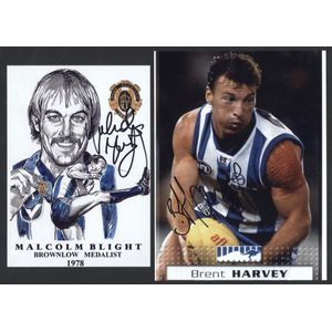North Melbourne - signed player photos: selection including…