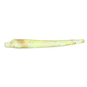 An antique Inuit carved Item, 19th century, probably a&hellip;