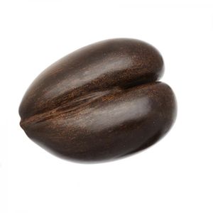 A 19th century Coco De Mer seed, known as the largest seed in…
