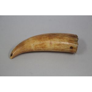 Fiji tribal artefacts, tabua (polished tooth) - price guide and values