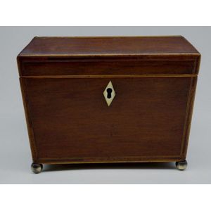 Regency casuarina sarcophagus tea caddy, with inlaid top and…