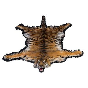 A Panthera tigris sumatrae (tiger) skin, with fully taxidermied…