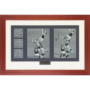 'Jesaulenko You Beauty', display comprising five action…