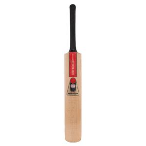 The 1985-86 World Series was a One Day International (Odi)…