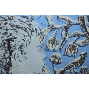 David Bromley 'Blue Boy with Bird' artist proof screen print,…