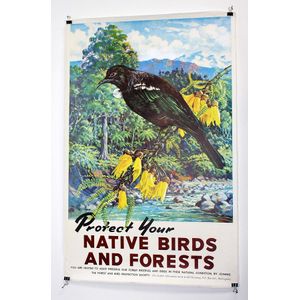New Zealand Railways Studio, 'Protect your Native birds and…
