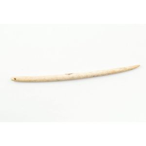 19th century or earlier bone Ngira (needle), of slightly curved…