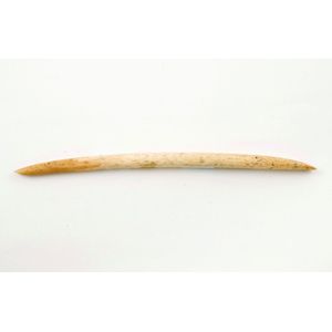 18th century or earlier bone Ngira (needle), of slightly curved…