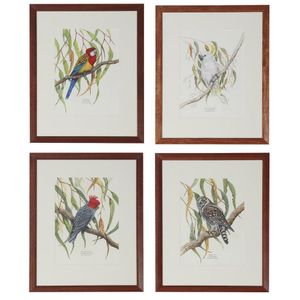 A set of 18 ornithological watercolours by Traci Wilson-Brown,…
