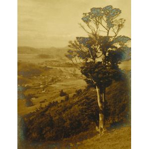 George Chance, 'The Harbour - Otago', silver gelatin photograph,…