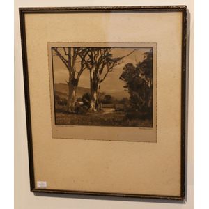 George Chance, hand coloured photograph titled 'A cottage in…