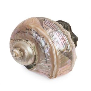 A shell incised with the Lord's Prayer and 'A Colonial Present,…