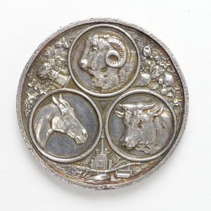 An 1880 Hawke's Bay Agricultural & Pastoral Society 'silver'…