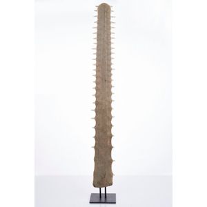Sawfish bill, c. 1900, on black metal stand, height 104 cm…