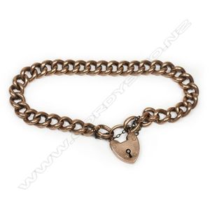Small Ridge Padlock Aegis Chain Bracelet