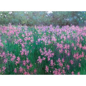 Noparat Livisit b.1932 Thailand flowers oil on canvas, signed…