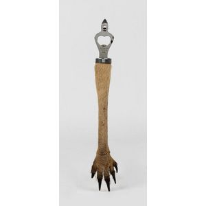 A taxidermied kangaroo paw bottle opener, 34 cm long.