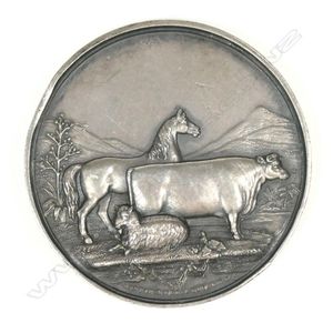 An 1874 Wanganui A&P Assoc. Harrop & Neill silver medal,…