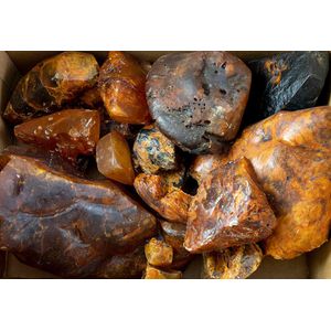 Unworked New Zealand kauri gum boulders and nuggets - price guide and ...