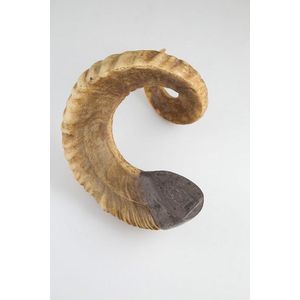 Ram's horn mull with silver mount and hinged lid by Kohn,…