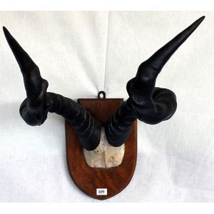 A set of hartebeest horns, by Edward Gerrard, London. Mounted.