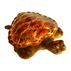 A taxidermy green sea turtle, with well figured 13 plate shell.…