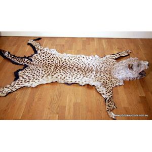 A leopard skin rug (Panthera Pardus), early 20th century, with…