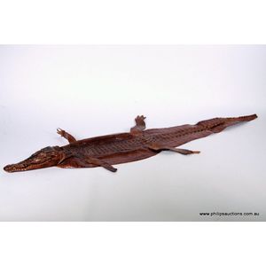 A small crocodile skin with head, the skin with a taxidermic…