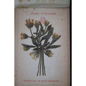 Victorian olive wood cased notebook with pressed dried flowers…