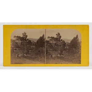 Victorian stereo view cards - price guide and values
