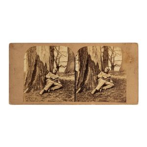 rare stereoview cards Amazon.com: Aquarius Spongebob Bold and Brash Playing Cards-Spongebob  Themed Deck of Cards for Your Favorite Card Games