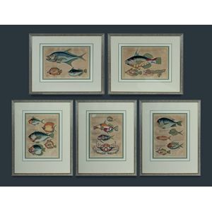 Fallours, Samuel Dutch School, five hand coloured plates…