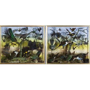 Pair of cased Taxidermied birds, English, 19th century, 78 cm…