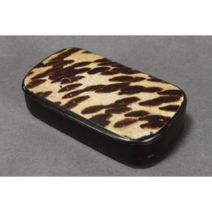 Papier mache snuff box, of rounded rectangular form, decorated…