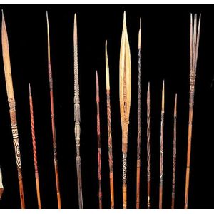 48 High-Quality Arrows and Ancient Wood Bow - New Guinean - Tribal