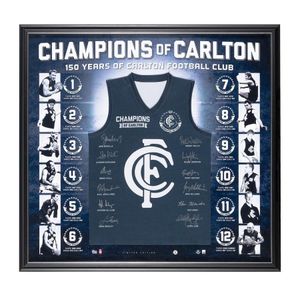 Champions of Carlton': display comprising 'Champions of…