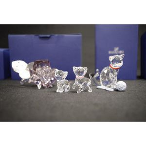 Four Swarovski Crystal bird figures, comprising Cockatoo, pair of