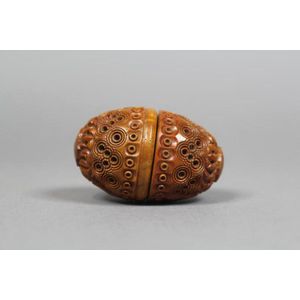 Hand Carved Coquille Nut Egg Box 19th Century Flea Trap Pomander
