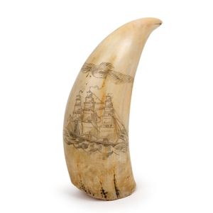 Scrimshaw Whale's Tooth: Tallship, Eagle, Compass Engravings ...