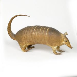 A vintage taxidermy armadillo, with glass eyes and tail raised.…