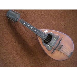 An early 20th century Italian mandolin by Giovanni de Meglio…